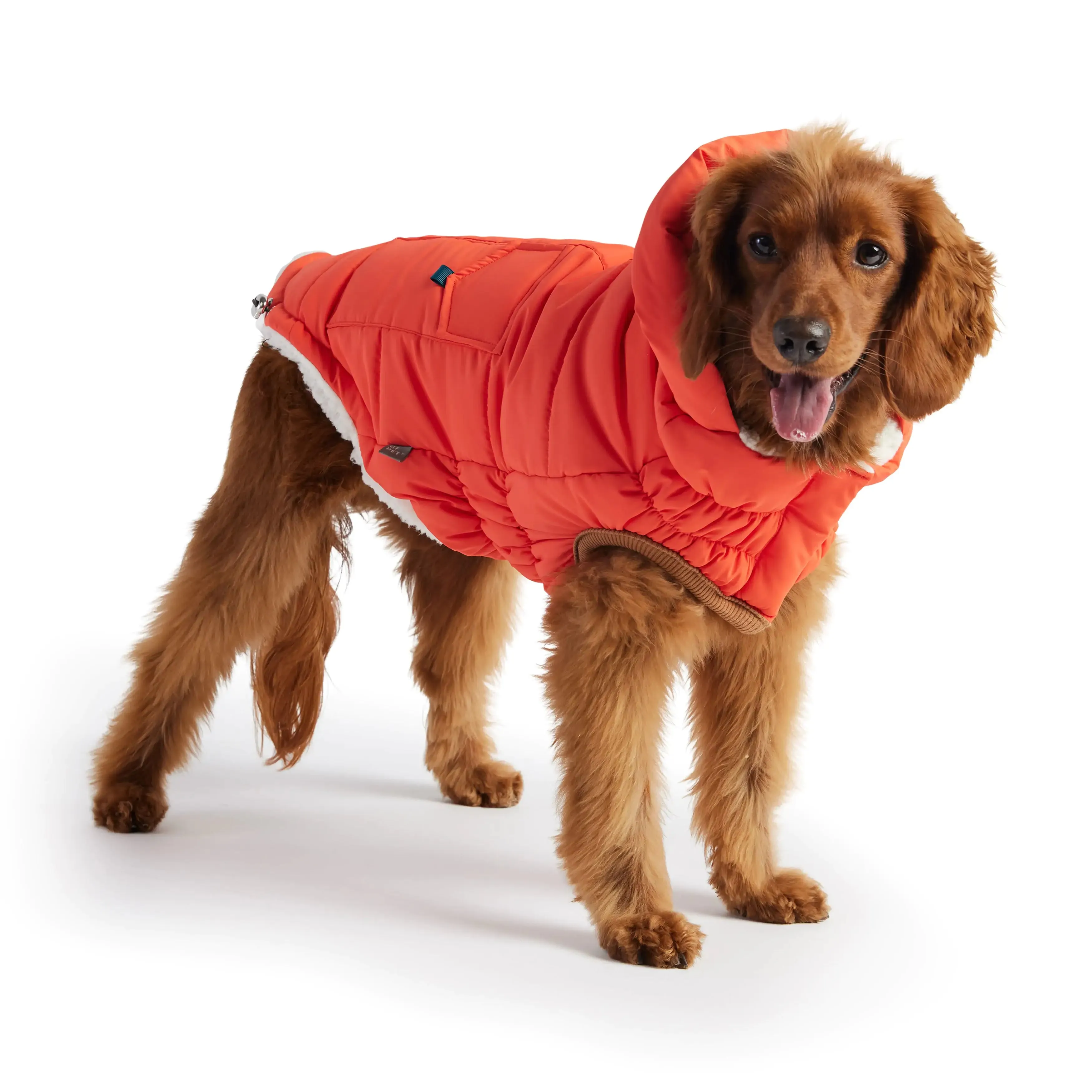 Super Puff Parka, Dog Coat, Popcorn Sherpa Lining - Orange